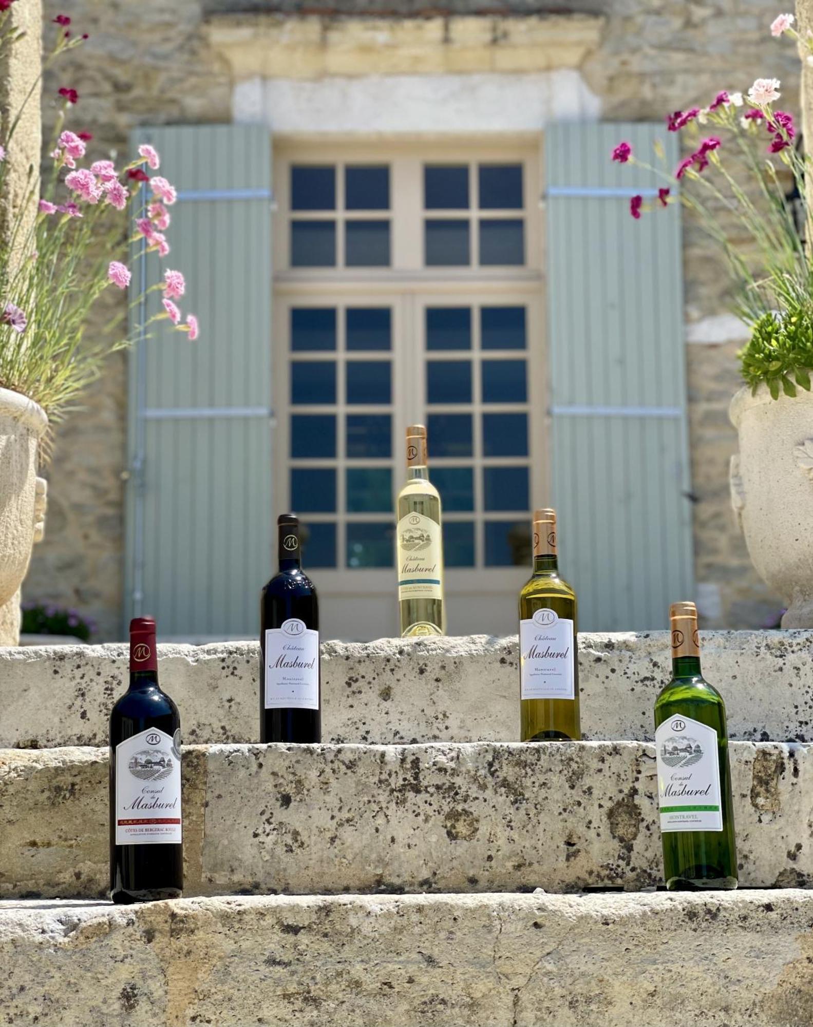 Chateau Masburel Fougueyrolles Экстерьер фото